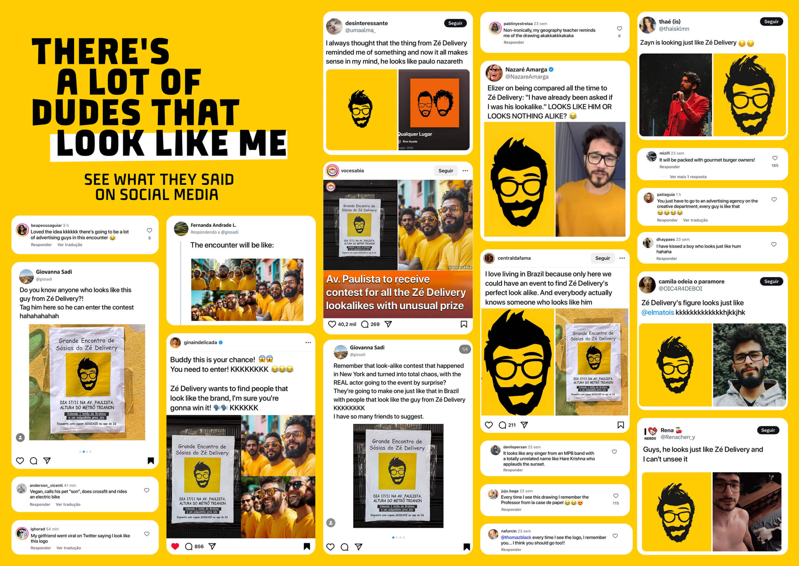 insights zé